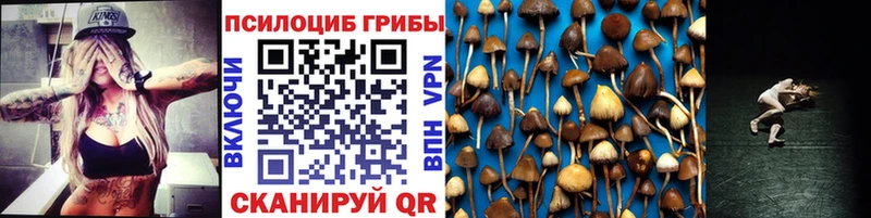 даркнет сайт Зеленодольск Галлюциногенные грибы Magic Shrooms